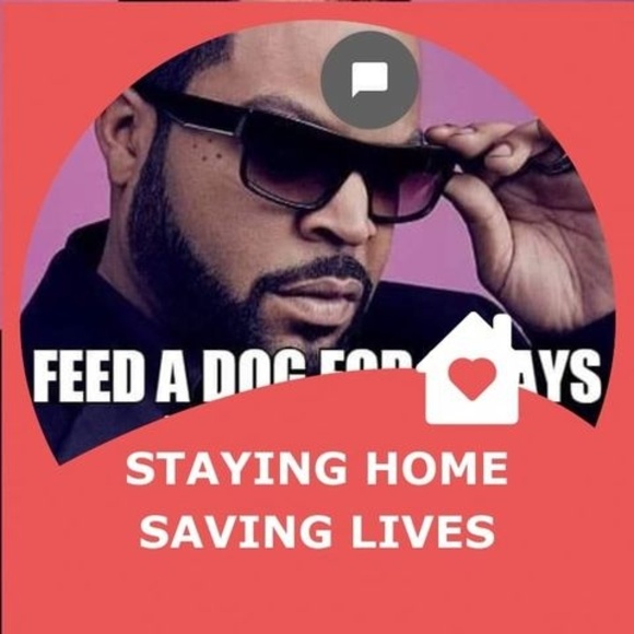 jarvisfriday24